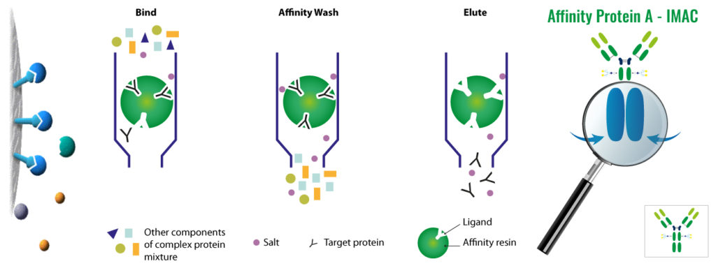 Analytical & Purification Technics Affinity